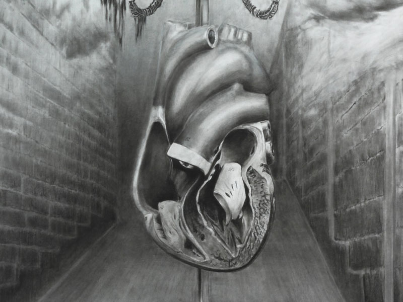 Cross section of heart